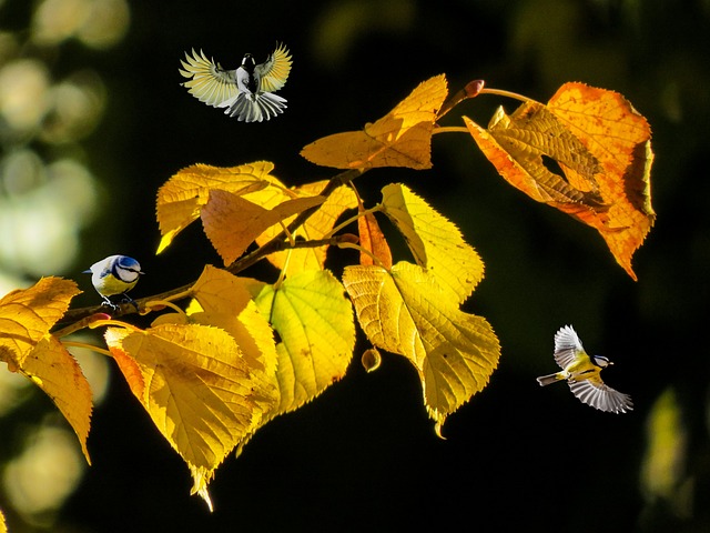 seasonal